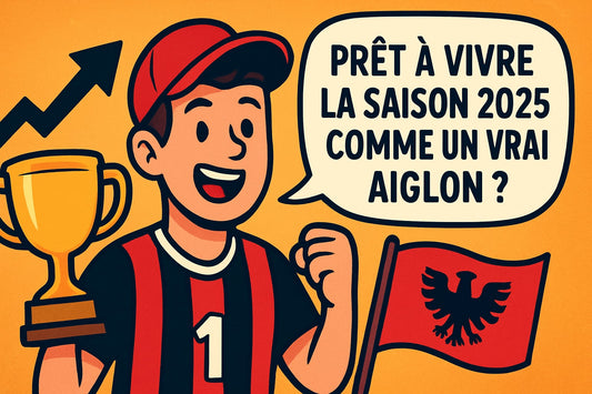 Guide Ultime Du Supporter Nice : Conseils Et Astuces 2025